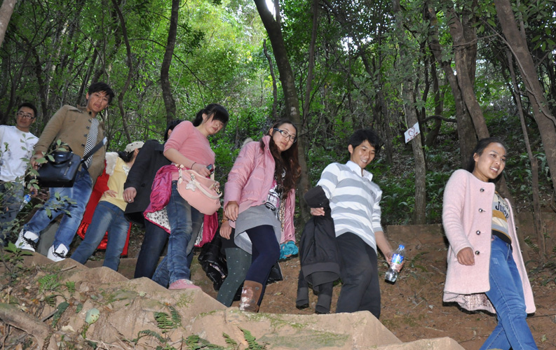 青龙峡位于昆明西郊安宁市青龙镇滇中生态大峡谷中，景区有保存较为完好的植物群落，遮天蔽日的参天古木；有浪漫山花，野果飘香，还有清秀宁静的田园风光。河谷沿岸古柳成荫，几十里的云南樱花大道成为昆明郊游靓丽的风景线。景区中溪水潺潺，千姿百态、千奇百怪的蔓藤风光随处可见，号称“都市身旁的小九寨。